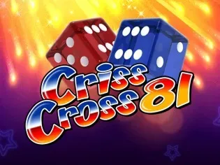 Criss Cross 81 game icon