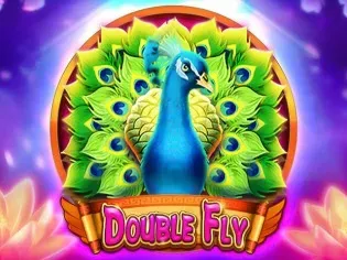 Double Fly game icon